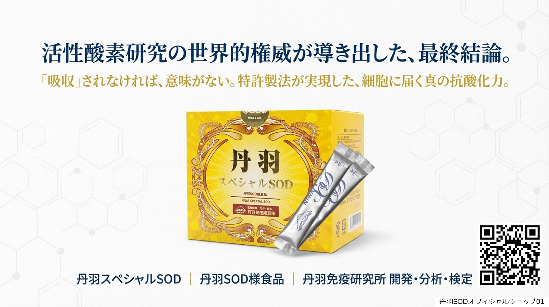 丹羽スペシャルSOD　丹羽SODとは　丹羽SODって何01