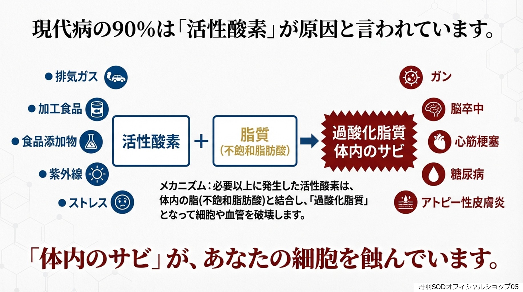 丹羽スペシャルSOD　丹羽SODとは　丹羽SODって何05