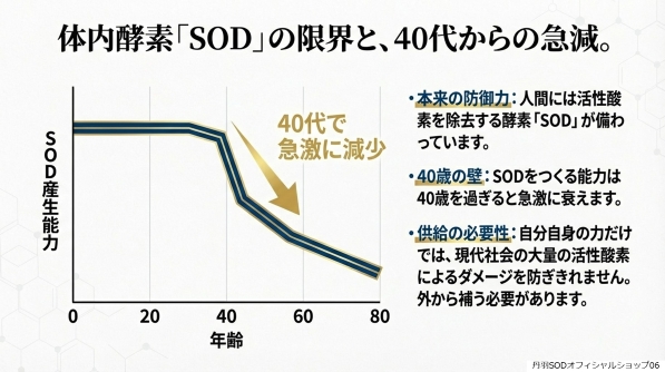 丹羽スペシャルSOD　丹羽SODとは　丹羽SODって何06