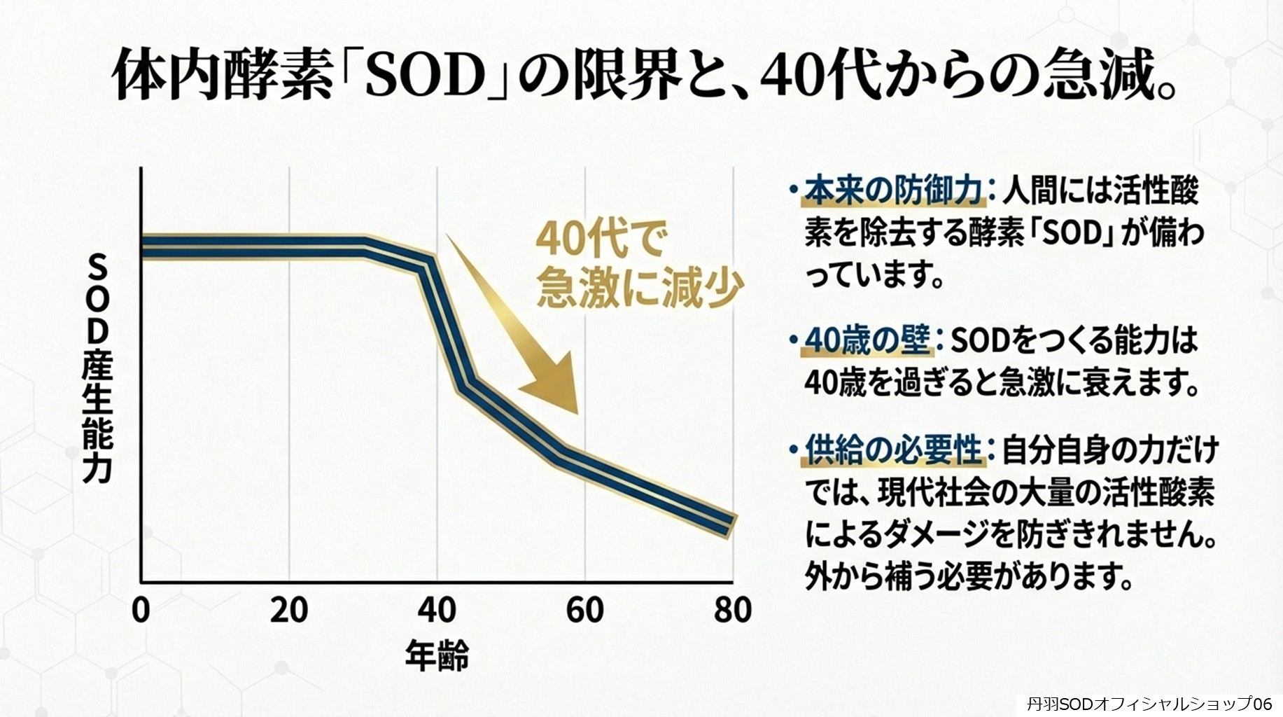 丹羽スペシャルSOD　丹羽SODとは　丹羽SODって何06