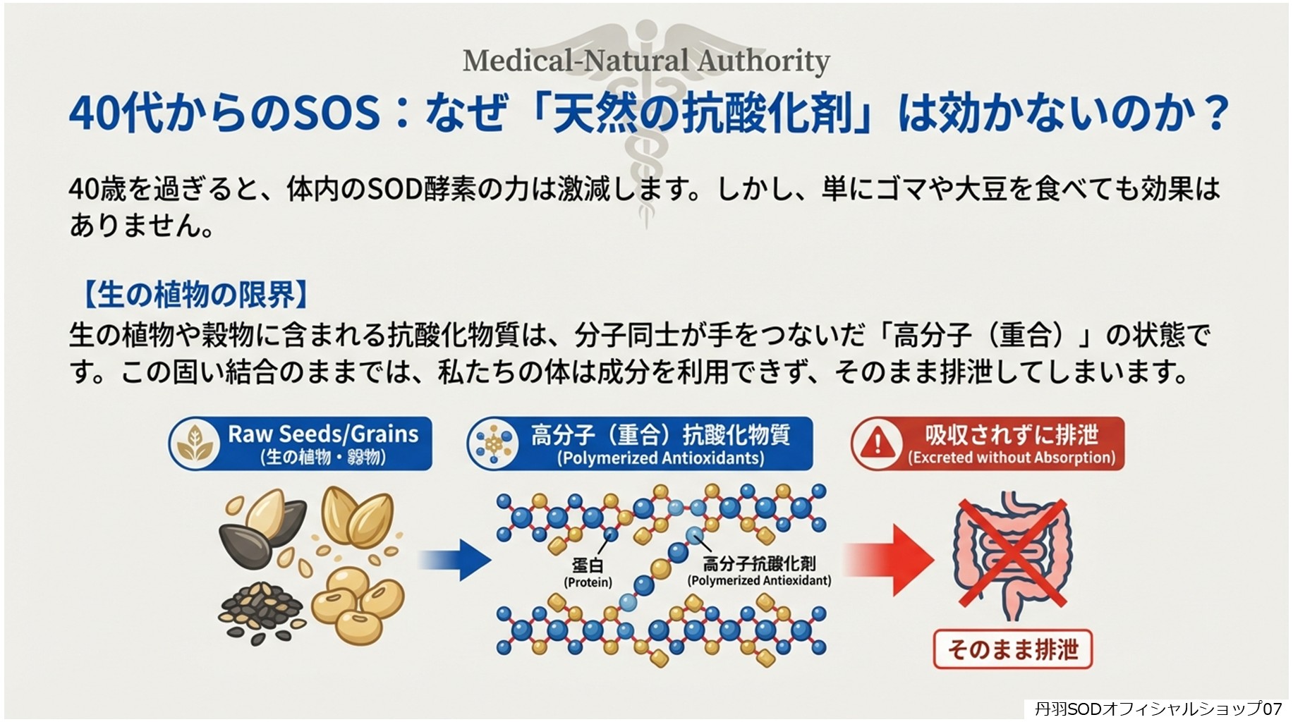 丹羽スペシャルSOD　丹羽SODとは　丹羽SODって何07