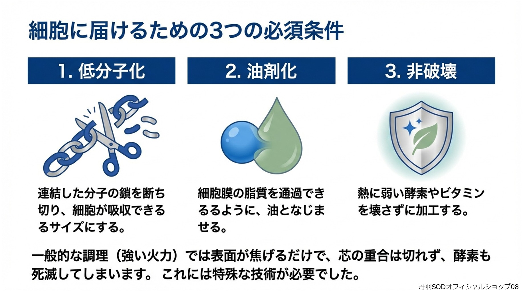 丹羽スペシャルSOD　丹羽SODとは　丹羽SODって何08