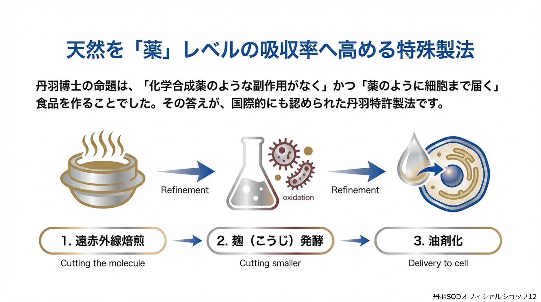 丹羽スペシャルSOD　丹羽SODとは　丹羽SODって何12